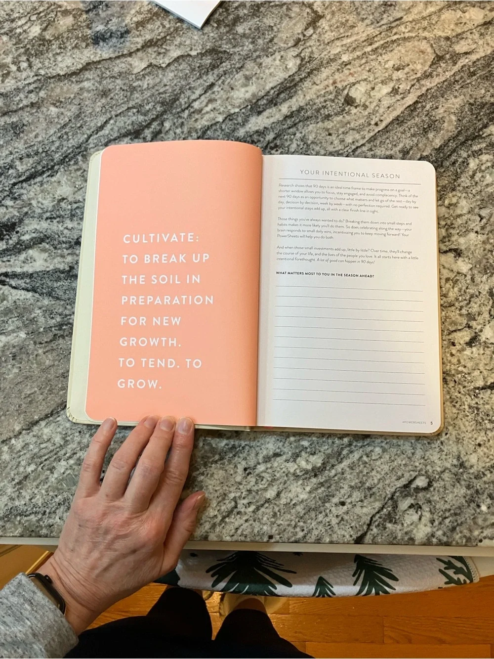 90-Day Powersheets Goal Planner - Natural Linen color + Goal Sticker Book